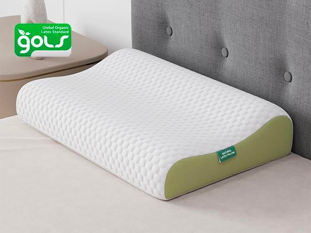 Contour Natural Latex Pillow