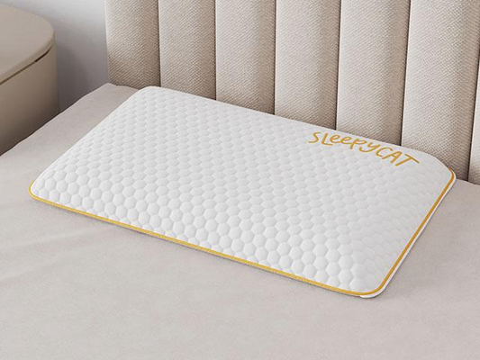 Memory Foam Slim Pillow