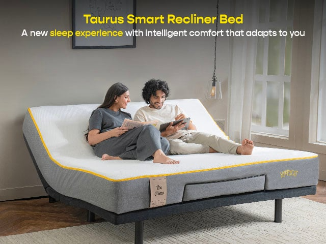 Taurus Smart Recliner Bed Without Headboard